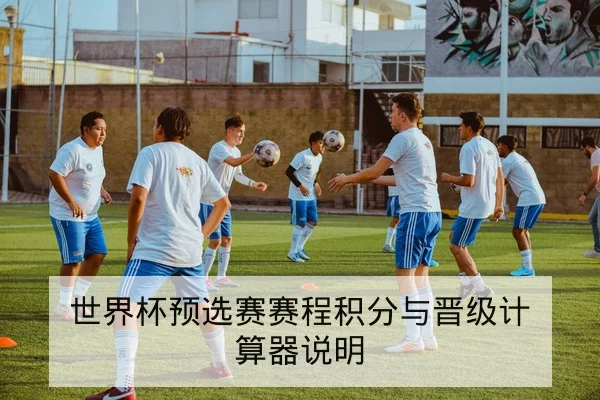 世界杯预选赛赛程积分与晋级计算器说明